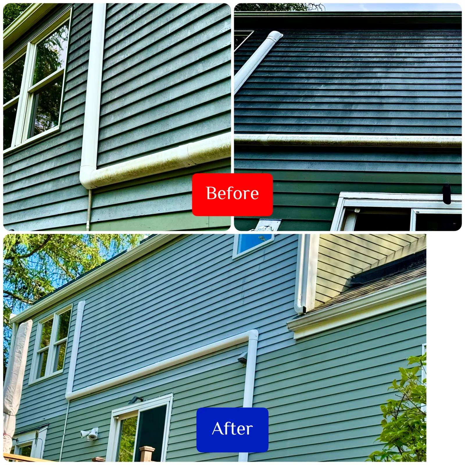 Before and after green siding soft washing