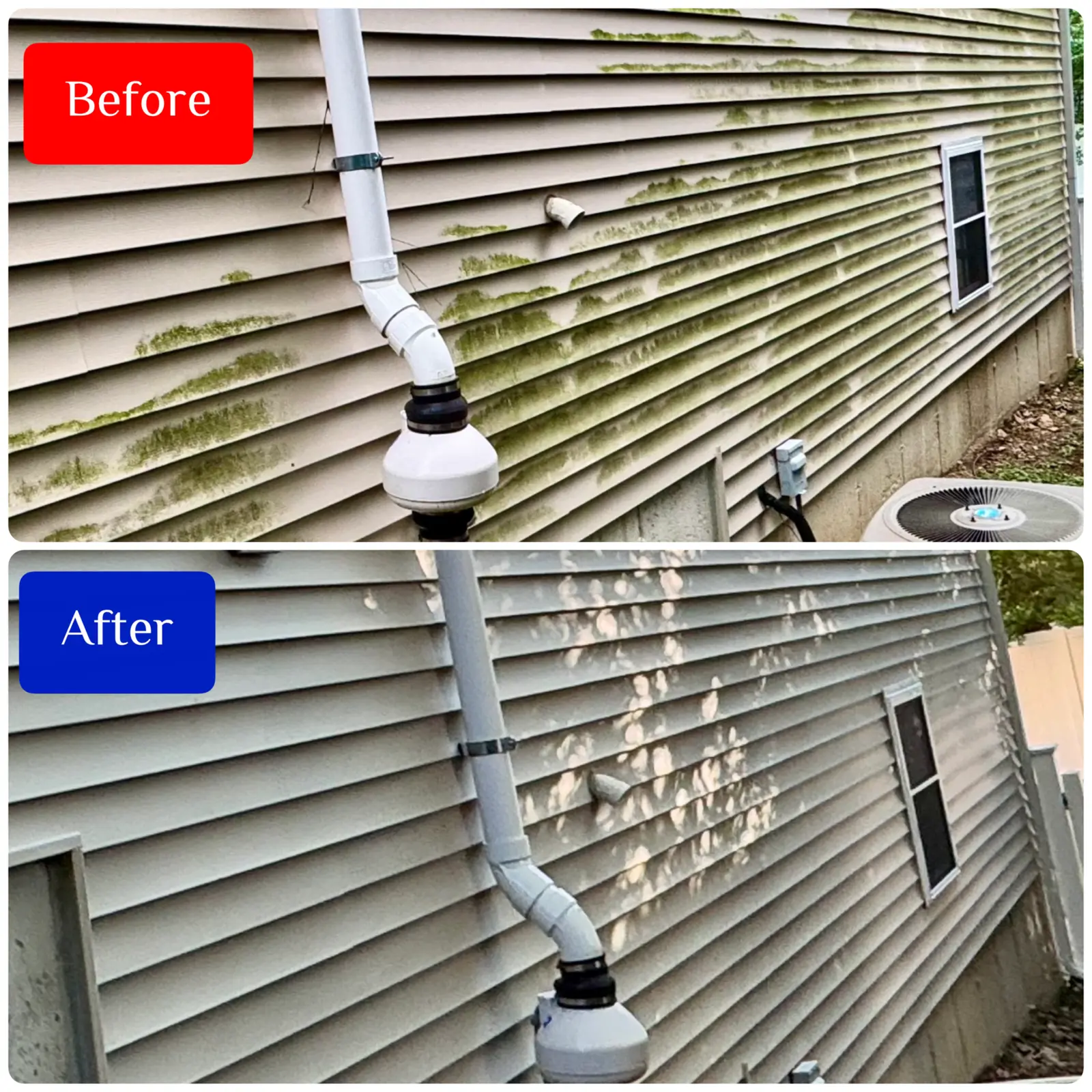 Before and after soft washing of algae-streaked vinyl siding